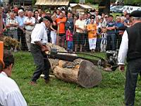 Tronconneuse a moteur (1)